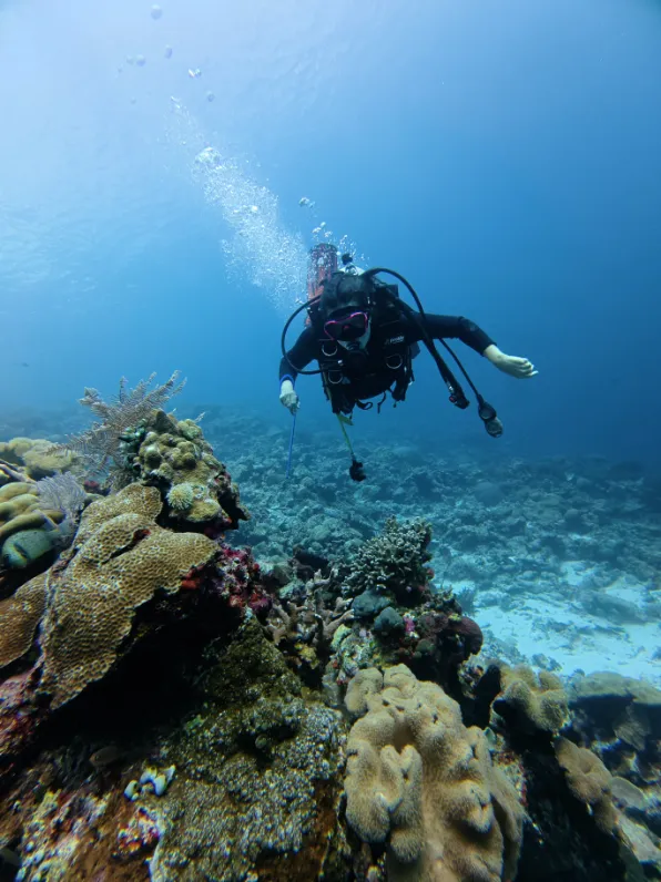 Wangi-Wangi Coastal Discovery